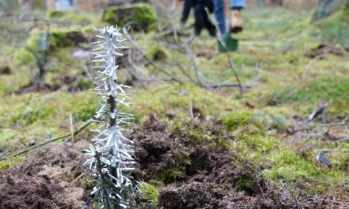 Ein voller Erfolg - DER PROLIFE GREEN DEAL