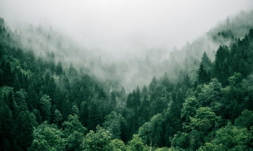 Zwischenbilanz des ProLife Green Deals